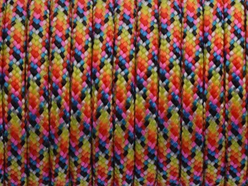 7 Strand Core 550lb Paracord Parachute Cord Lanyard Mil Spec Type III-100ft (Bright Rainbow(77#))