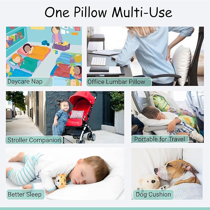 ZPECC Toddler Pillow with Pillowcase - 13x18 Organic Cotton Hypoallergenic Kids Pillow, Baby Essentials for Travel Crib Daycare Stroller (Intended for Age 2 and up) Truck