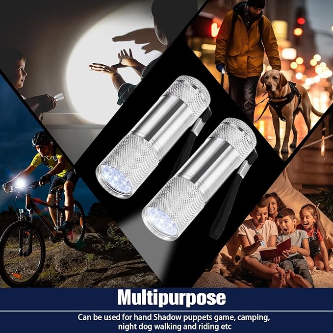 VIHOSE 12 Pcs Mini Flashlights Bulk, Bright Aluminum Handheld Flash Lights with Lanyard, Small LED Flashlights for Night Reading Emergency Hurricane Camping Hiking Party Favors(Silver)