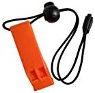 Spare Air Mini Scuba Tank - 6.0 cu ft Nitrox Ready Dive Cylinder - Small Emergency Backup Diving Equipment with Holster, Leash & Refill Adapter