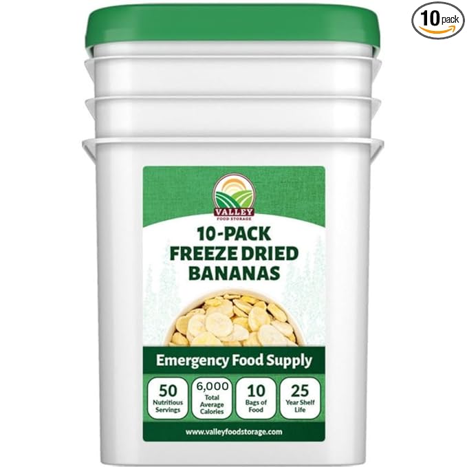 Valley Food Storage Freeze Dried Banana Slices | 10-Bag Bucket, 53 oz | Non-GMO Premium Emergency Food Supply, 25 Year Shelf Life | Prepper Supplies, Survival Food & Off-Grid Living | Packaged in USA