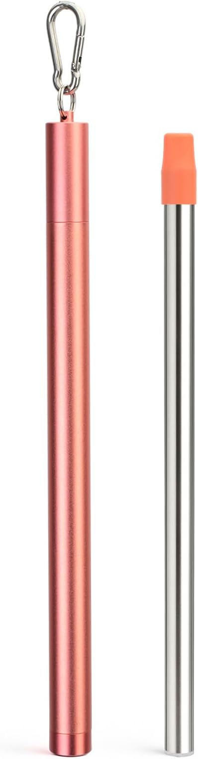 Sursip Water Filter Straw Reusable Stainless Steel Portable Outdoor Emergency Survival Gear for Camping & Hiking Travel Personal Water Purifier Filter Straw(1 Pack)