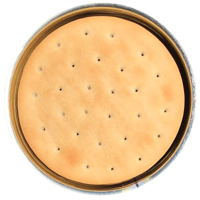 Future Essentials Pilot Bread Survival Crackers – Emergency Food Supply – 30-Year Shelf Life – Ready to Eat Hardtack Biscuits – #2.5 Can, Made in USA, 12 Crackers per Can, Pack of 6