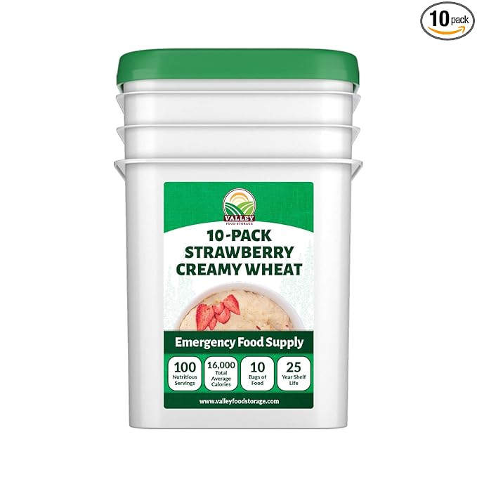 Valley Food Storage Freeze Dried Strawberry Creamy Wheat | 10-Bag Bucket, 100 Servings | Premium Emergency Food Supply, 25 Year Shelf Life | Survival Breakfast Food for Prepper Storage & Camping