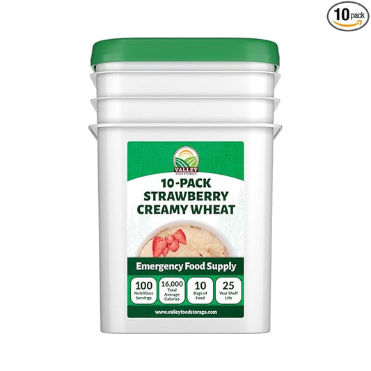 Valley Food Storage Freeze Dried Strawberry Creamy Wheat | 10-Bag Bucket, 100 Servings | Premium Emergency Food Supply, 25 Year Shelf Life | Survival Breakfast Food for Prepper Storage & Camping
