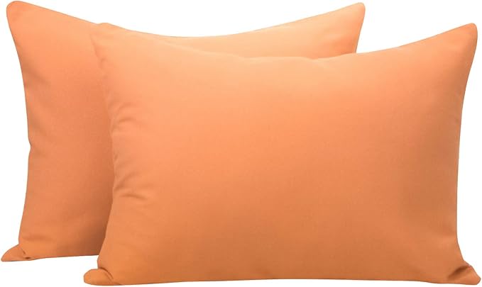 NTBAY Zippered Toddler Pillowcases Set of 2, 100% Brushed Microfiber 13x18 Pillowcases, Super Soft and Cozy Travel Kids Nursery Pillow Cases, 13x18 Inches, Tan
