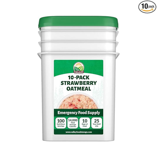 Valley Food Storage Freeze Dried Strawberry Oatmeal | 10-Bag Bucket, 100 Servings | Premium Emergency Food Supply with 25 Year Shelf Life | Non-GMO Freeze Dried Breakfast & Prepper Food