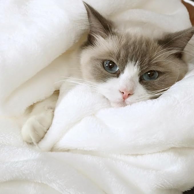 Hansleep Fleece White Blanket King for Bed, Super Soft Flannel Fuzzy King Plush Cozy Blanket for All Seasons, White, King 90x108 Inches