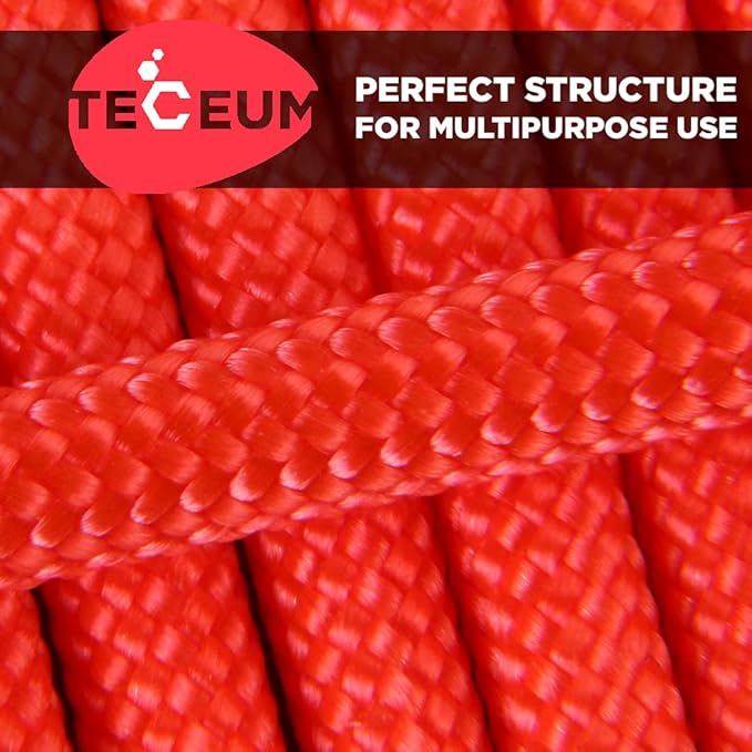 TECEUM Reflective Paracord Rope 1000 – 1000ft/200ft/100ft/50ft – 40+ Colors – Glow in The Dark – para Cord – Utility Rope for Survival, Hunting & Camping Gear – Nylon String, Camping Rope, Tent Cord
