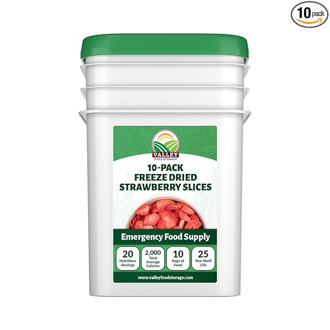 Valley Food Storage Freeze Dried Strawberries | Emergency Food Supply, 25 Year Shelf Life | Survival Food, Camping Snacks & Long Term Prepper Storage | Real Fruit, Packaged in USA (10 Bags + Bucket)
