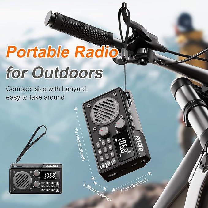 Portable Radio AM FM 1500mAh Rechargeable with Best Reception, Transistor shortwave Radio Wireless Bluetooth Speaker, with Large LCD Screen, Support TF Card U Disk, Earphone, Sleep Timer (Black)
