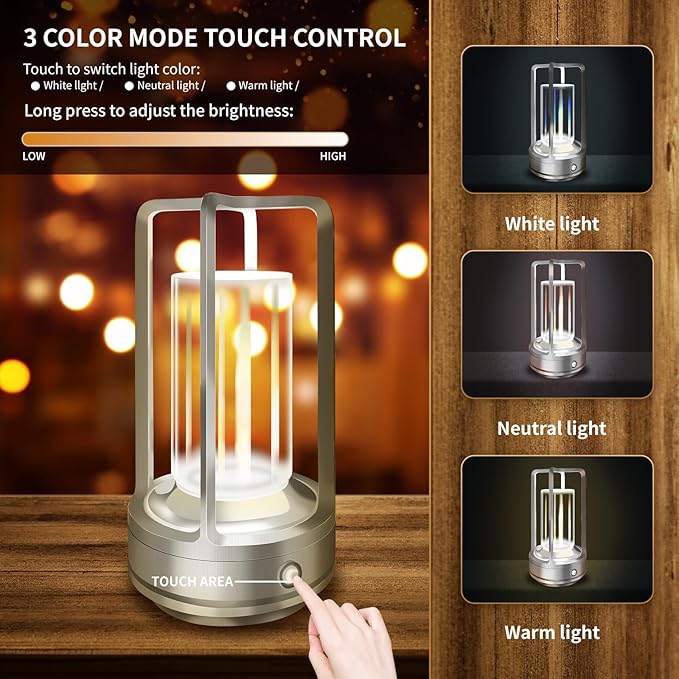 Set of 2 Cordless Table Lamps, LED Rechargeable Table Lamp with 3 Color Stepless Dimmable, Indoor/ Outdoor Table lamp for Patio/ Camping/ Bar/ Coffee/ Restaurant/ Bathroom (Silver 2 Pcs)