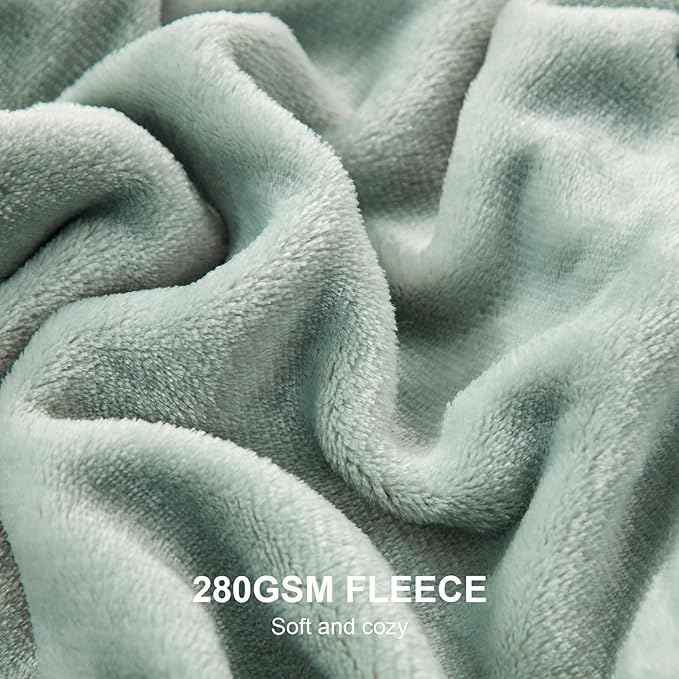 Hansleep Fleece Celadon Queen Blanket, Super Soft Flannel Fuzzy Plush Cozy Blanket for All Seasons, Celadon, Queen 90x90 Inches