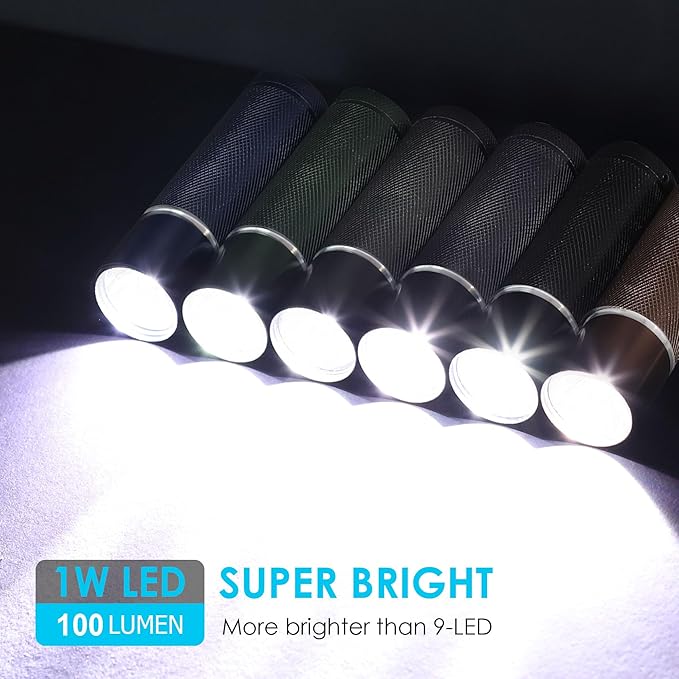 FASTPRO 24-Pack Flashlights Set, Aluminum LED Flashlights Include AAA Batteries & Lanyard, Super Bright 100 Lumen Flashlight for Party Favors, Camping, Hurricane Supplies