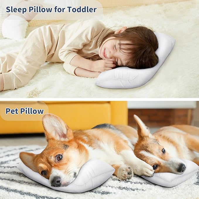 Pro Goleem Small Pillow 11"x7"x2.5" for Kids and Baby Sleeping with Name Tag Mini Tiny Pillow for Camping and Chair Car Air Nap Neck Lumbar Knee Rest Pillows, White