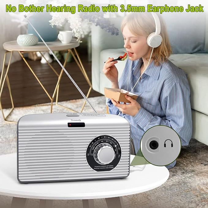 DreamSky Bluetooth Speaker Radio Sleep Timer, Hi-Fi Clear Extra Loud Sound, Portable AM FM Radio with Strong Reception, Plug in Wall or Battery Operated for Home/Outdoor, Seniors Small Gift