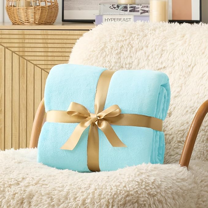 Hansleep Fleece Robin Egg Blue Full Blanket, Super Soft Flannel Fuzzy Plush Cozy Blanket for All Seasons, Robin Egg Blue, Full 84x90 Inches