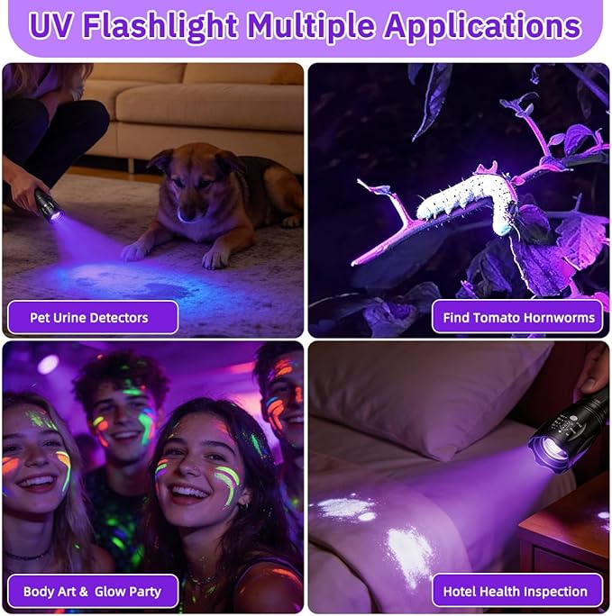 6Pack Small UV Flashlight Black Light, 395nm UV Light Flashlights, Portable LED Blacklight Flashlight, Mini Black Lights Detector for Dog/Cat/Pet Urine, Rocks, Bed Bug, Resin Curing, Scorpions Finder