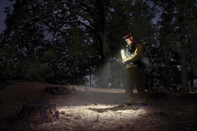 MagLite Mini MAG Pro LED Flashlight – 2-Cell AA Compact Flashlight with Adjustable Focus, Precise Beam, Durable Construction, Long Battery Life, Water-Resistant for Emergency, Outdoor & Camping