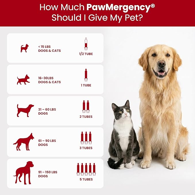 PawMergency – Activated Charcoal First Aid Kit Emergency Rescue for Dogs, Cats, Puppy & Pet Poison Kit, Camping Survival Remedy Essential, Oral Anti Diarrhea Digestive Absorb Toxins 2 Pack