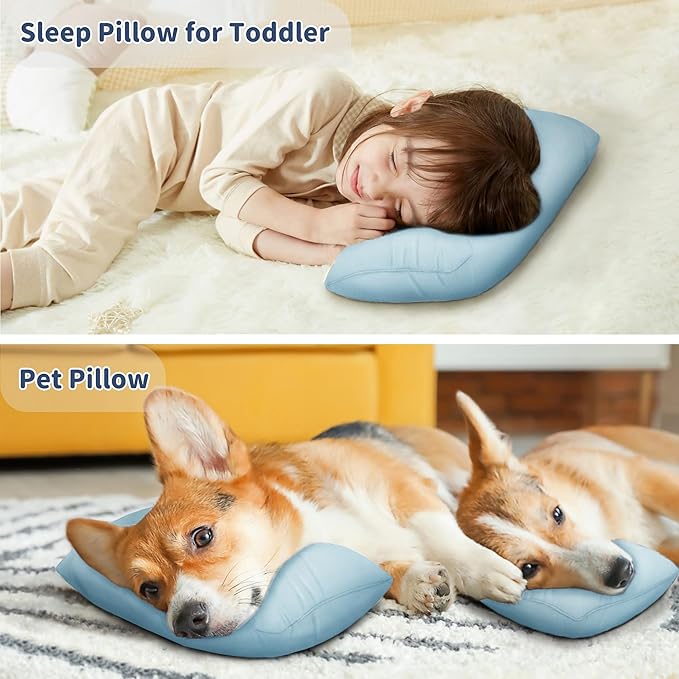 Pro Goleem Small Pillow 11"x7"x2.5" for Kids and Baby Sleeping with Name Tag Mini Tiny Pillow for Camping and Chair Car Air Nap Neck Lumbar Knee Rest Pillows, Blue