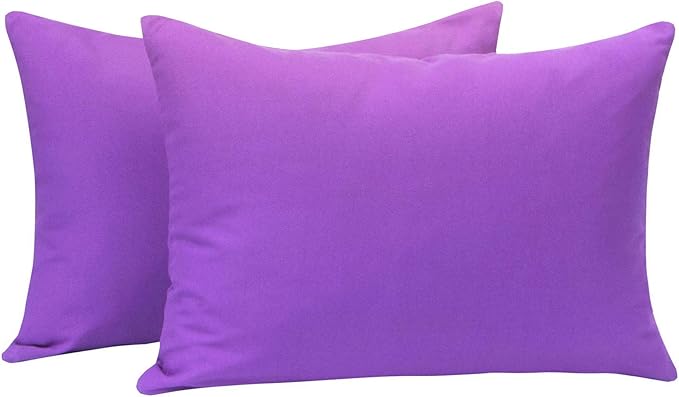 NTBAY Zippered Toddler Pillowcases Set of 2, 100% Brushed Microfiber 13x18 Pillowcases, Super Soft and Cozy Travel Kids Nursery Pillow Cases, 13x18 Inches, Purple