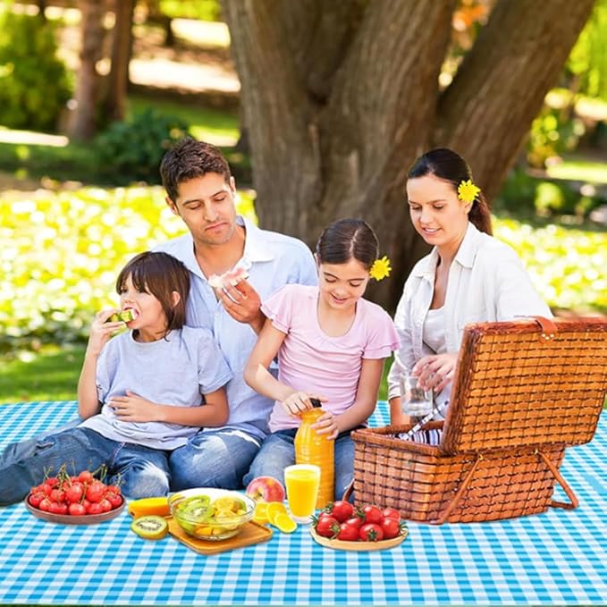 LRUUIDDE Extra Large Picnic Blanket Beach Blankets, Outdoor Foldable Waterproof Sand Mat for Beach Camping Hiking Travel Family Concerts Grass Park Music Festival Lawn Mats (Blue, 80x60inch)