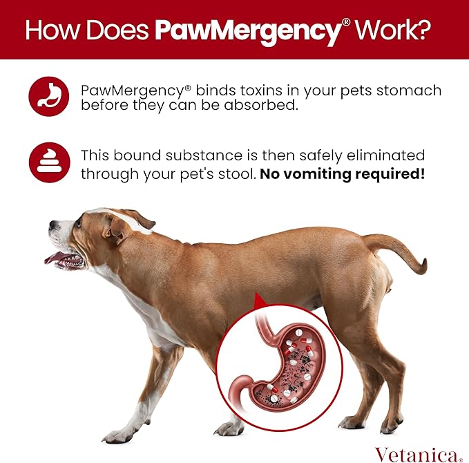 PawMergency – Activated Charcoal First Aid Kit Emergency Rescue for Dogs, Cats, Puppy & Pet Poison Kit, Camping Survival Remedy Essential, Oral Anti Diarrhea Digestive Absorb Toxins 2 Pack