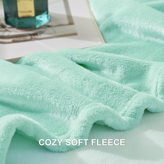 Hansleep Fleece Lake Green Queen Blanket, Super Soft Flannel Fuzzy Plush Cozy Blanket for All Seasons, Lake Green, Queen 90x90 Inches