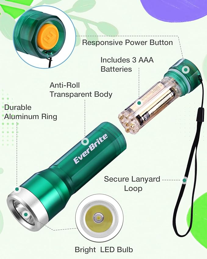 EverBrite Mini Flashlight, LED Flash Light with 3 Modes, 3 AAA Batteries Included, Water-Resistant Small Flashlight for Emergencies and Camping, Green,1 Pack