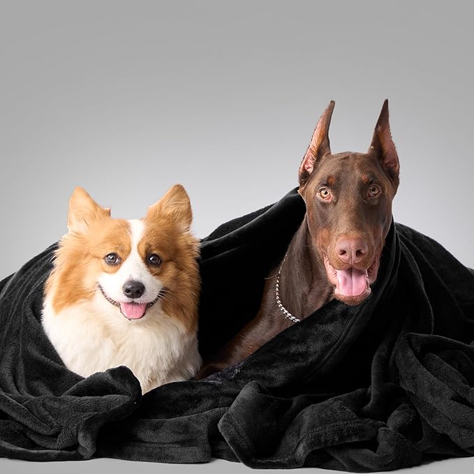 Hansleep Fleece Black Full Blanket, Super Soft Flannel Fuzzy Plush Cozy Blanket for All Seasons, Black, Full 84x90 Inches