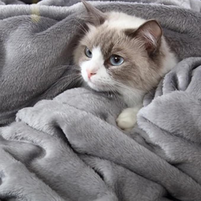 Hansleep Fleece Grey Full Blanket, Super Soft Flannel Fuzzy Plush Cozy Blanket for All Seasons, Grey, Full 84x90 Inches