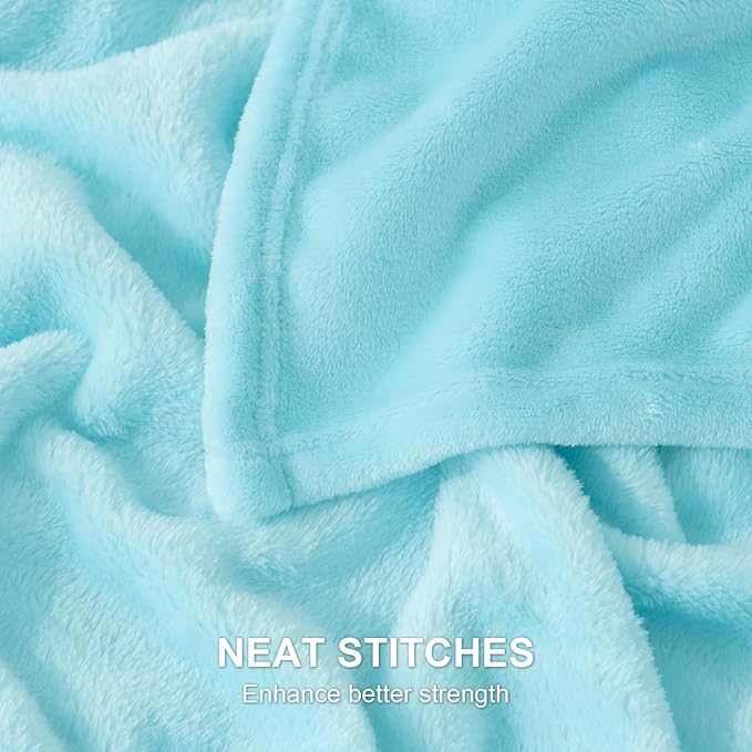 Hansleep Fleece Robin Egg Blue Queen Blanket, Super Soft Flannel Fuzzy Plush Cozy Blanket for All Seasons, Robin Egg Blue, Queen 90x90 Inches
