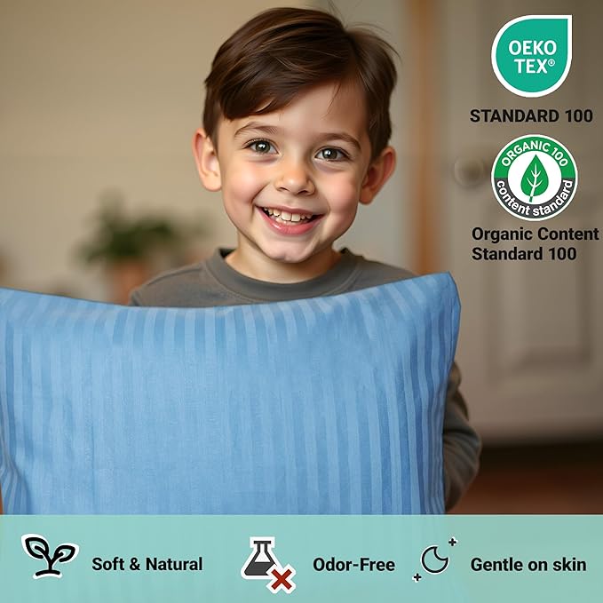 ZPECC Toddler Pillow with Pillowcase 2 Pack - 13x18 Organic Cotton Hypoallergenic Kids Pillow, Baby Essentials for Travel Crib Daycare Stroller (Intended for Age 2 and up) Blue Stripe