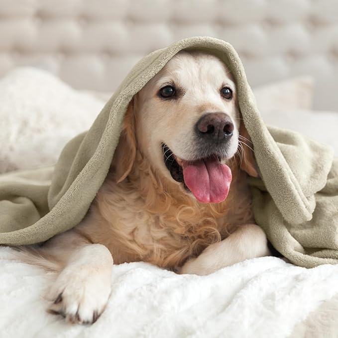 BEDELITE Fleece Blanket Oatmeal Throw Blankets for Couch & Bed, Luxury Plush Cozy Fuzzy Blanket 50x60 inches, Super Soft Warm Lightweight Throw Blanket for Travel Camping