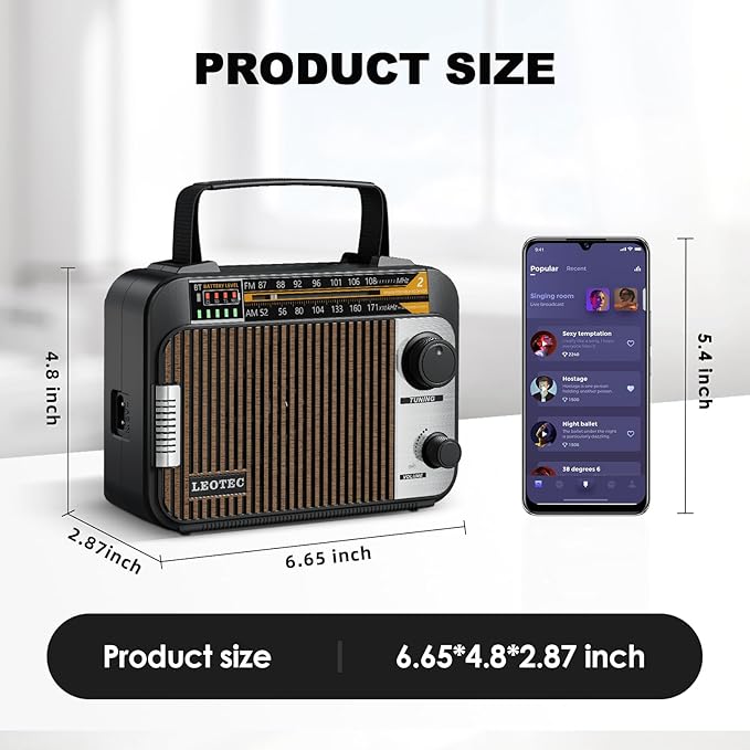 LEOTEC AM FM Radio with Bluetooth,Portable Vintage Transistor Radio Rechargeable Battery/4 AA Cell Battery Operated/Plug in Wall,AUX,Big Speaker,Headphone Small Gifts for Senior