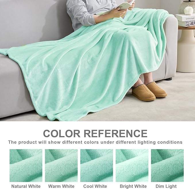 Hansleep Fleece Lake Green Queen Blanket, Super Soft Flannel Fuzzy Plush Cozy Blanket for All Seasons, Lake Green, Queen 90x90 Inches