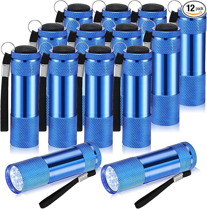 VIHOSE 12 Pcs Mini Flashlights Bulk, Bright Aluminum Handheld Flash Lights with Lanyard, Small LED Flashlights for Night Reading Emergency Hurricane Camping Hiking Party Favors(Blue)