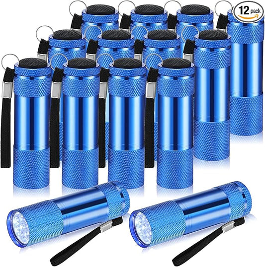 VIHOSE 12 Pcs Mini Flashlights Bulk, Bright Aluminum Handheld Flash Lights with Lanyard, Small LED Flashlights for Night Reading Emergency Hurricane Camping Hiking Party Favors(Blue)