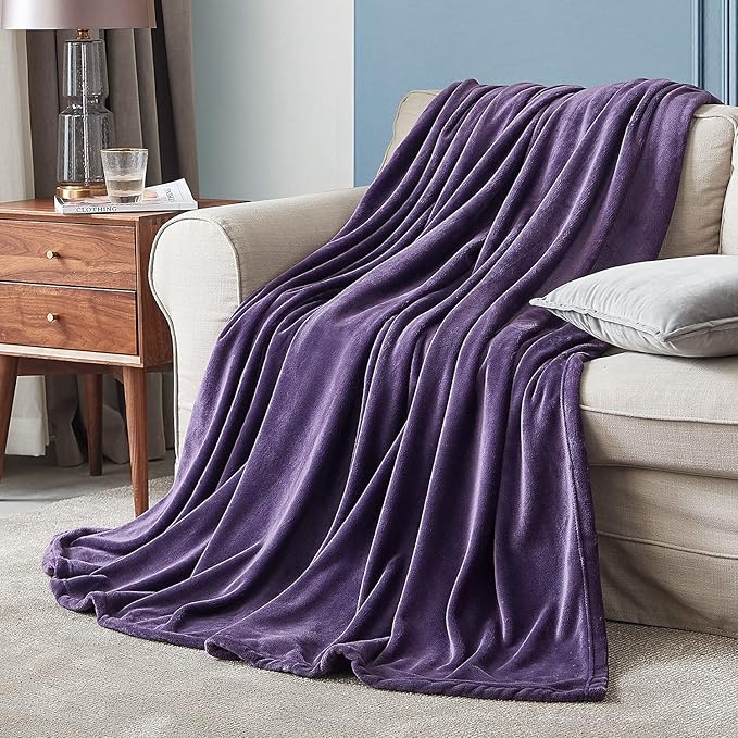 Hansleep Fleece Blanket Twin Size Purple, Soft Cozy Twin Fuzzy Flannel Lightweight Blanket for Bed, Sofa, Couch, Travel, Camping, Purple, 60x80 Inches