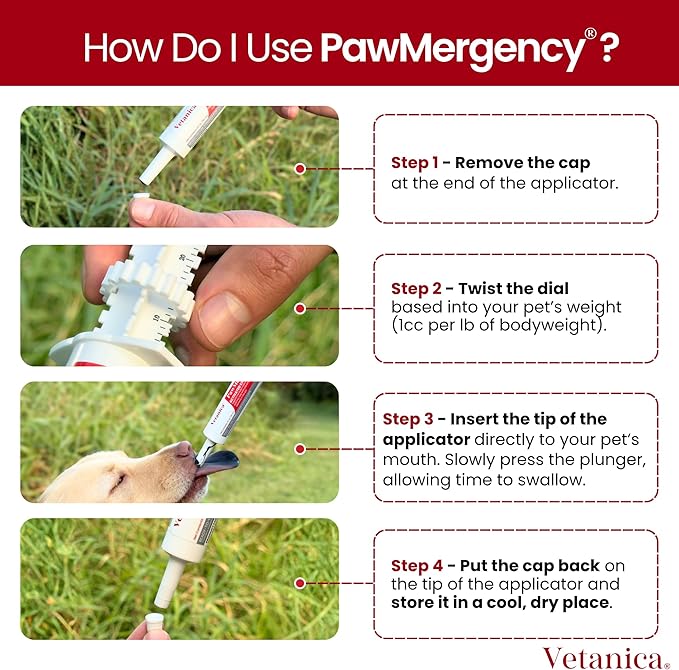 PawMergency – Activated Charcoal First Aid Kit Emergency Rescue for Dogs, Cats, Puppy & Pet Poison Kit, Camping Survival Remedy Essential,Oral Anti Diarrhea Digestive Paste Ready Absorb Toxins 1 Pack