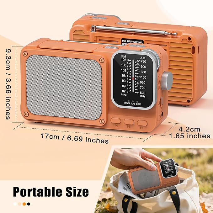 Goodes Portable Radio AM FM with Best Reception, Bluetooth Transistor Radios with TF Card Slot, LED Light and Headphone Jack, AC Power or Battery Operated, Emergency Radio for Home Kitchen Outdoor