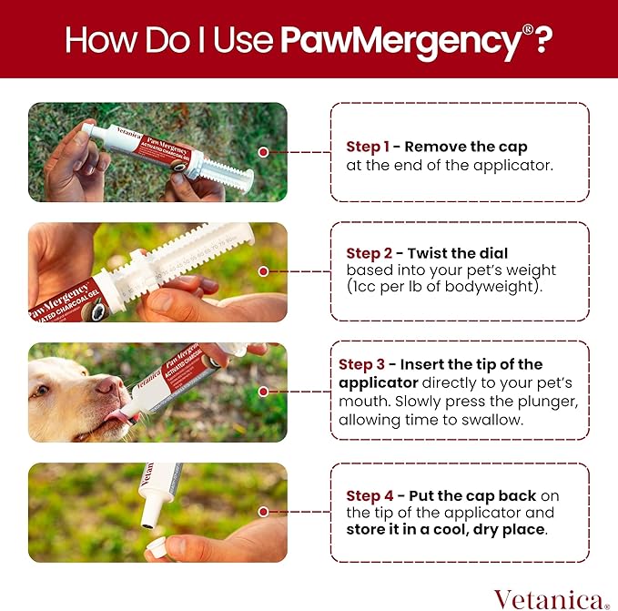 PawMergency – Activated Charcoal First Aid Kit Emergency Rescue for Dogs, Cats, Puppy & Pet Poison Kit, Camping Survival Remedy Essential, Oral Anti Diarrhea Digestive Absorb Toxins 5 Pack