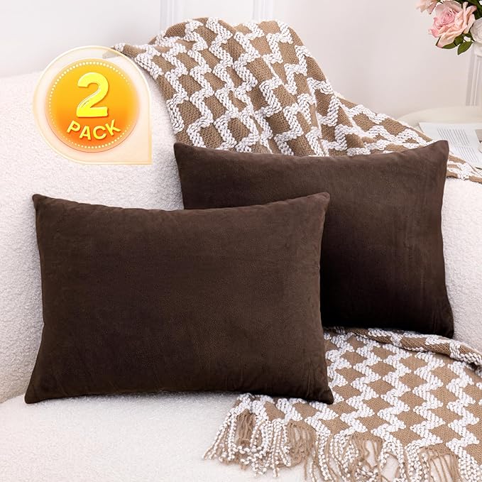 1 MIDDLE ONE 2 Pack Small Pillow, 16 X 12 Inches, Memory Foam Mini Pillow for Travel, Camping, Sleeping, Nap and Neck, Knee, Lumbar Support, Tiny Cushion for Pet, Dogs (Brown)