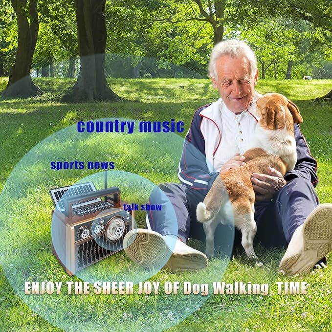 Portable AM FM Radios, Retro Radios with High-Powered Speakers, Support USB Power and Solar Panels Charging.Bluetooth TF Card (Rose Gold)