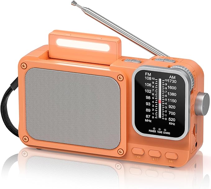Goodes Portable Radio AM FM with Best Reception, Bluetooth Transistor Radios with TF Card Slot, LED Light and Headphone Jack, AC Power or Battery Operated, Emergency Radio for Home Kitchen Outdoor
