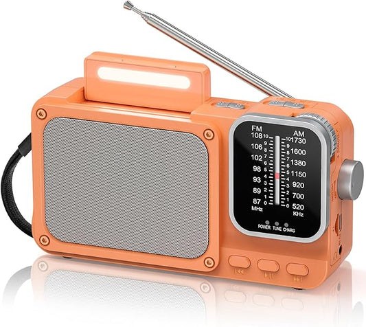 Goodes Portable Radio AM FM with Best Reception, Bluetooth Transistor Radios with TF Card Slot, LED Light and Headphone Jack, AC Power or Battery Operated, Emergency Radio for Home Kitchen Outdoor