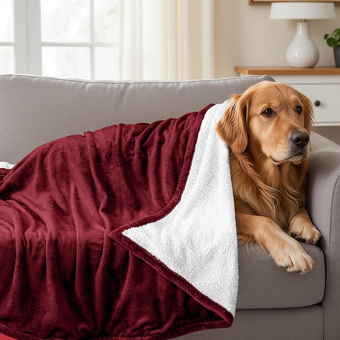 Utopia Bedding Sherpa Blanket Twin Size (Red, 90x66 Inches) - Soft Lightweight Plush Fleece Reversible Blanket for Bed, Sofa, Couch, Camping and Travel