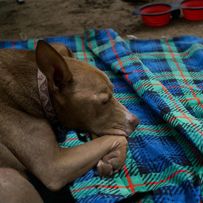 Large Outdoor Waterproof Blanket Extra Thick Fleece Stadium Blanket for Camping, Car, Pet, Picnics - Windproof, Wearable, Machine Washable 80" x 58" (Green Check)