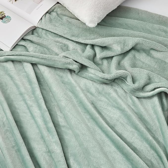 Hansleep Fleece Celadon Twin Blanket, Super Soft Flannel Fuzzy Plush Cozy Blanket for All Seasons, Celadon, Twin 60x80 Inches